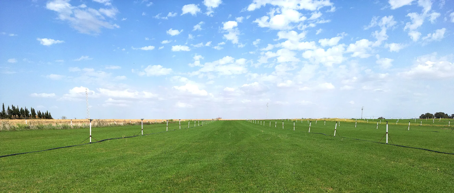 Campo de césped de Vivero Bercial con riego por aspersión
