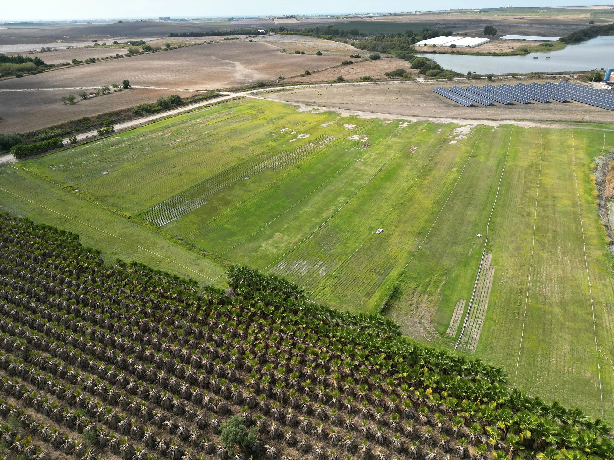 Instalaciones del vivero