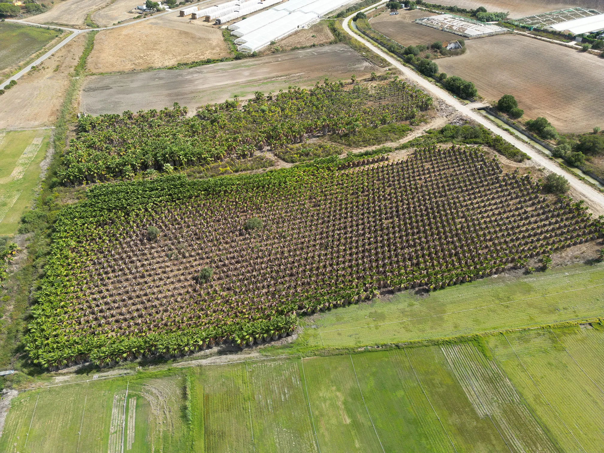 Instalaciones del vivero