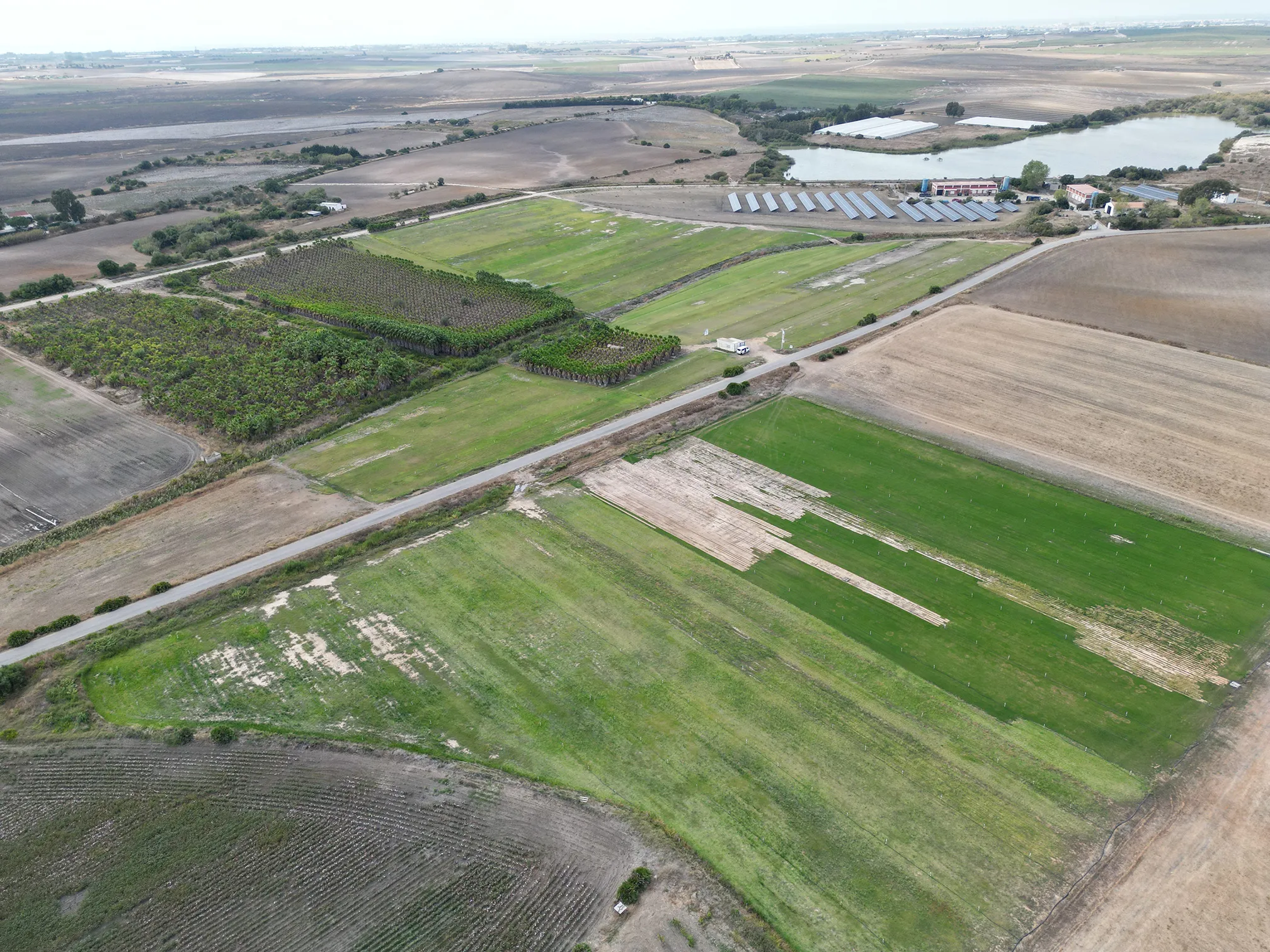 Vista aérea del vivero en El Bercial