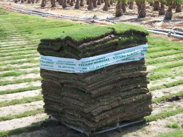 Extracción y colocación de tepes de césped
